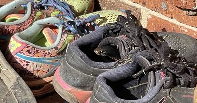 Terrifying moment mum finds venomous snake 'coiled up' in her daughter's shoe