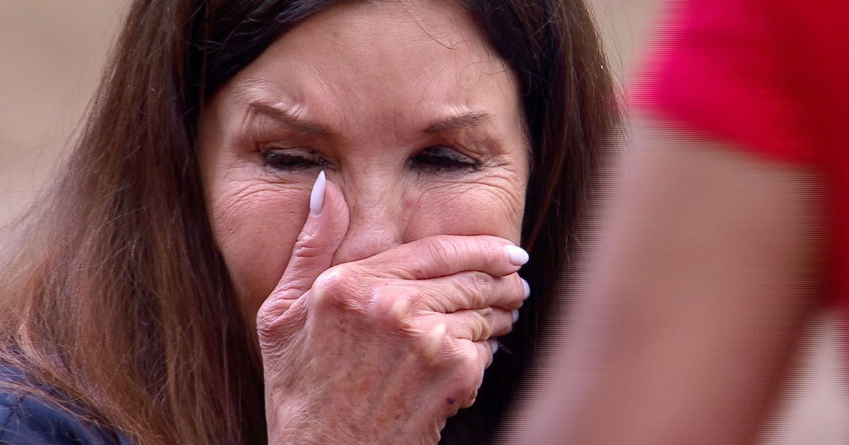 Janice Dickson says her chin was left 'gashed open'…