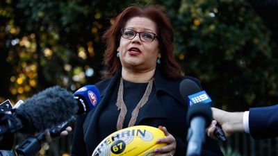 AFL issues lifetime bans for several football fans amid crackdown on racial abuse