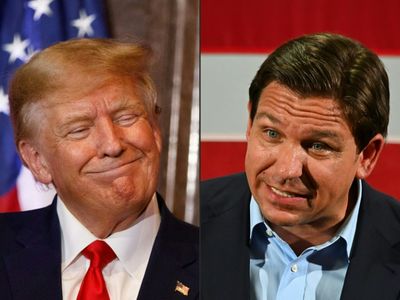 Don vs. Ron: Why Trump is trouncing DeSantis in 2024 race