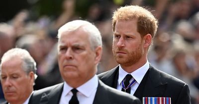 Palace confirms Harry and Andrew will have no formal role at King’s coronation