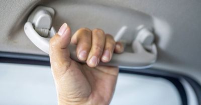 Woman amazed after discovering 'proper' use for grab handles inside cars