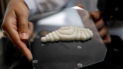 Dished up by 3D printers, a new kind of fish to fry