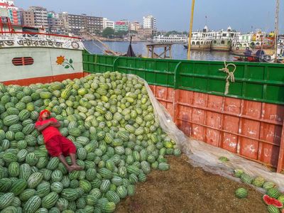 ‘When he woke up he gave me a free watermelon’: Saiful Islam’s best phone picture