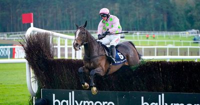 Willie Mullins-trained Punchestown Festival winner to be sold at auction