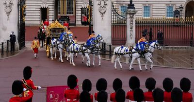 The horses pulling King Charles' carriage including one called Milford Haven