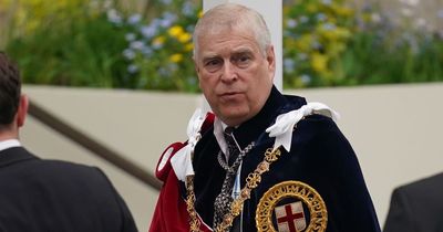 Prince Andrew allowed to wear formal robes for Coronation - but Harry wears suit