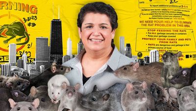 Hey, New York, Chicago already has had a rat czar for years. Her name is Josie Cruz.