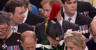 Prince Harry forced to sit in third row as his view blocked by Princess Anne's hat