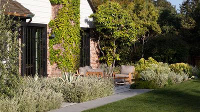 This centuries-old trick for keeping your garden well-watered might be the answer to your plants surviving a hot summer