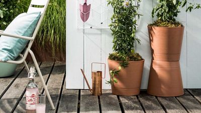 How to water plants in pots – the tricks to keep your container garden happy, and the one thing you should never do