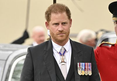 Princes Harry, Andrew benched on third row at coronation