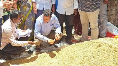 Officials speed up procurement of sprouted paddy in Konaseema district of Andhra Pradesh