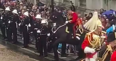 Moment 'unruly horse' backed into Coronation crowd caught on camera