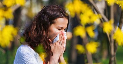 Hay fever sufferers get warning as high pollen levels to hit UK