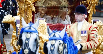 Coronation fans baffled by decision to give horses 'blue hair' for parade
