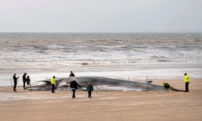 Dead whale removed from Bridlington beach after becoming tourist attraction