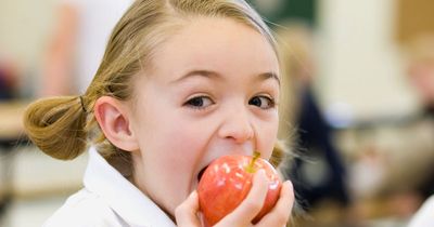 Mum sparks debate after branding stepdaughter 'greedy' for eating too much fruit