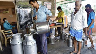 Beyond Nandini-Amul debate, dairying is an uphill task for many