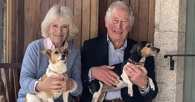 Queen Camilla's Coronation gown included heartfelt nod to her beloved rescue dogs