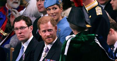 Prince Harry's makes coronation gesture to Princess Anne, says body language expert
