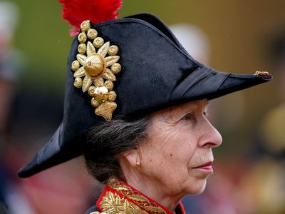 Princess Anne receives praise as King Charles’ personal bodyguard at coronation: ‘Totally boss’