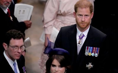 Prince Harry at coronation, but left out of major celebrations