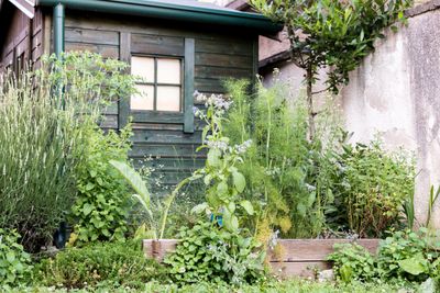 10 herb garden ideas that are as bountiful as they are beautiful (and super easy to maintain)