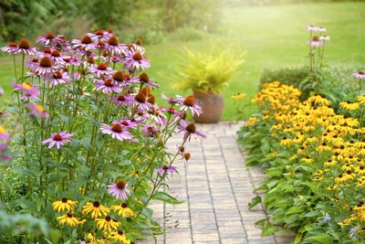 Garden color schemes – these are the palettes landscapers lean on to make planting feel cohesive and considered