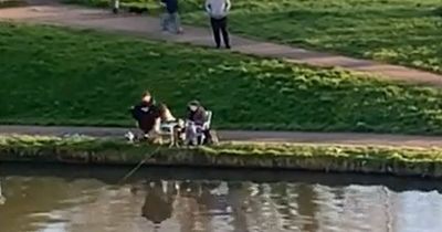 Shocking moment yob pushes grandad into canal as terrified wife watches on