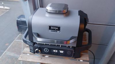 Ninja Woodfire Electric BBQ Grill & Smoker review: the easiest way to barbecue?!