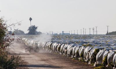 US food pesticides contaminated with toxic ‘forever chemicals’ testing finds