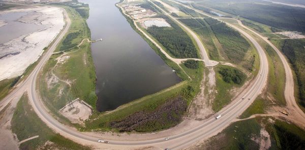 As Alberta’s oilsands continue leaking toxic wastewater, aquatic wildlife face new risks