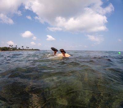 'It's not for the faint-hearted' — the story of India's intrepid women seaweed divers