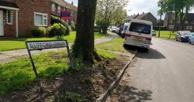 Emergency services scrambled to scene after pedestrian hit by car