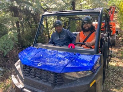 The mahi bringing birdsong back to Aotea's forests