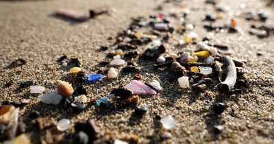 Vacuum cleaner that can separate sand from microplastics offers hope for UK beaches