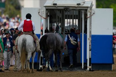 Horse deaths cast shadow as Triple Crown shifts to Preakness