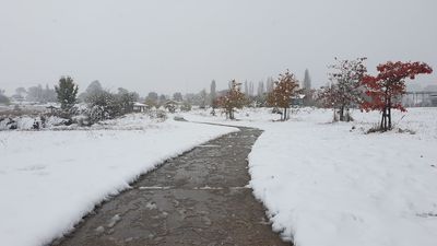 Snow, strong winds, wild surf hit NSW as weather records set in freezing autumn night