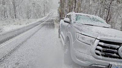 Cold snap brings early snow, high wind to Australia's southeast