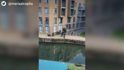 Limehouse: Video shows Met officers tasering suspect and shooting dogs dead in front of horrified residents