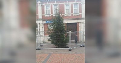 Town with the 'UK's worst tree' that held Christmas in spring
