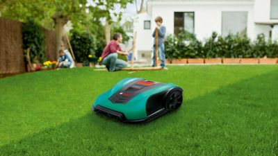 5 things I wish I’d known before buying a robot lawn mower