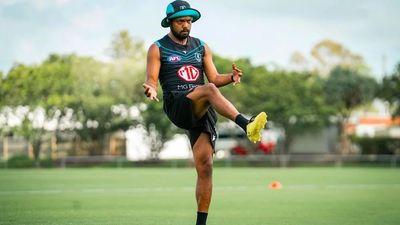 Port Adelaide Football Club condemns racist post directed at Indigenous AFL player Junior Rioli