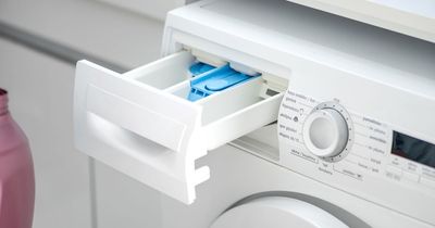 Cleaning guru's 29p tip for removing soap scum and mould from washing machine drawers