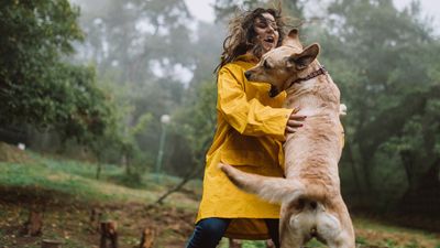 Patience, treats and this trainer’s simple tip will put a stop to your dog jumping up