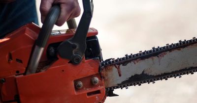 People left terrified after learning the 'alarming' reason chainsaws were invented