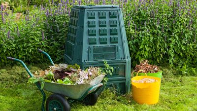Composting mistakes – 6 errors to avoid for a successful result