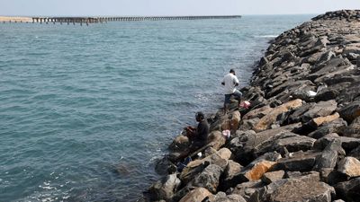 PIL in Madras High Court wants T.N. to identify coastal erosion-prone areas and construct shore wedge reefs