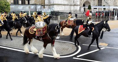 Welsh shire horse weighing 800kg led the King Charles coronation procession through London